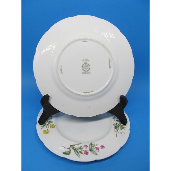Minton Meadow Scalloped Set Of 2  Floral 7 1/2" Salad Plates VGC     1962-1970 - Picture 2 of 10
